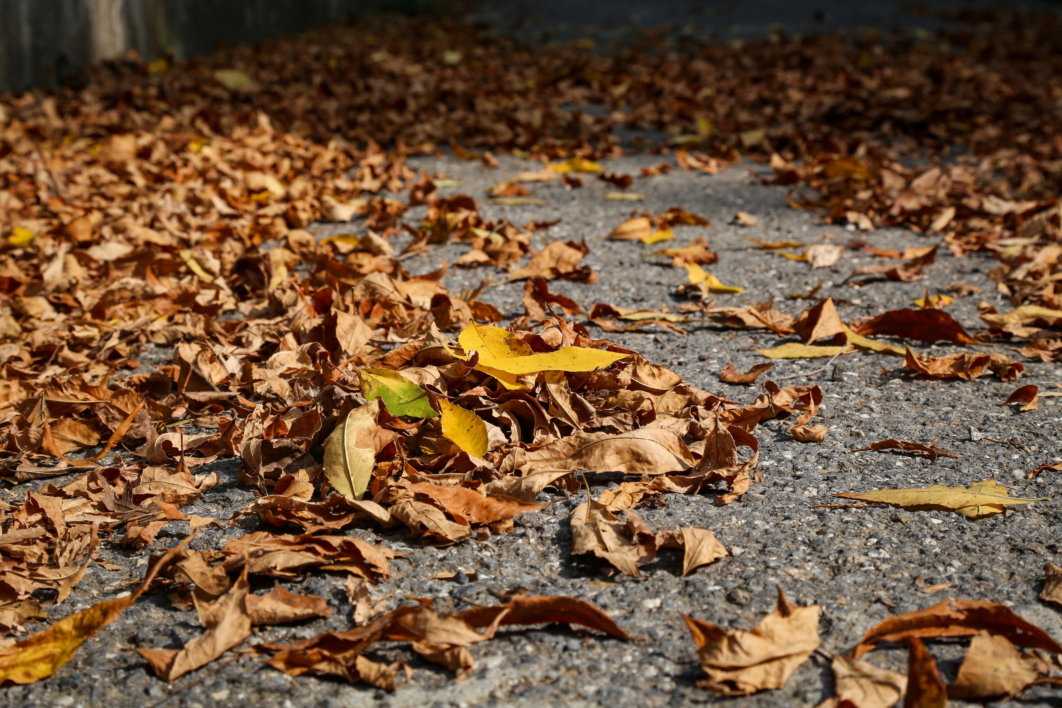Depositphotos_315464816_XL